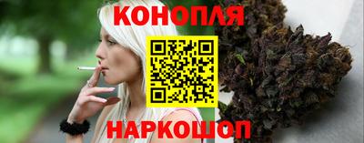 гидропоника Пугачёв