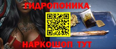 гидропоника Пугачёв