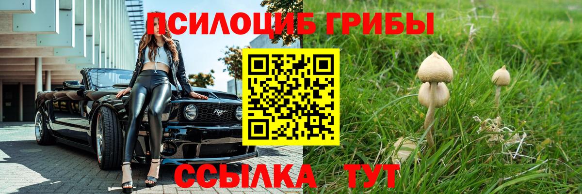 купить наркотики цена  Галлюциногенные грибы мухоморы  Псилоцибиновые грибы ЛСД  Вход с VPN  Сердобск 